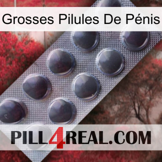 Grosses Pilules De Pénis 30